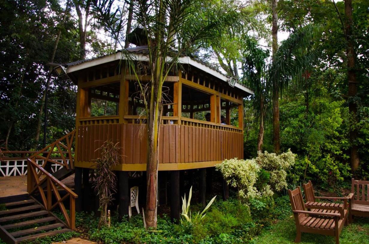 Отель Edgewood Country Place Thika Экстерьер фото